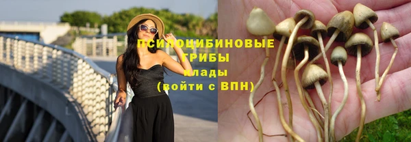 МДМА Богданович