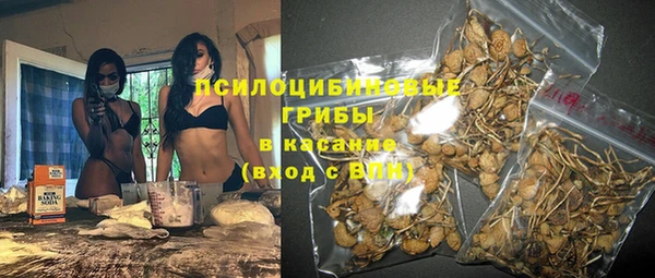 дурь Богородицк