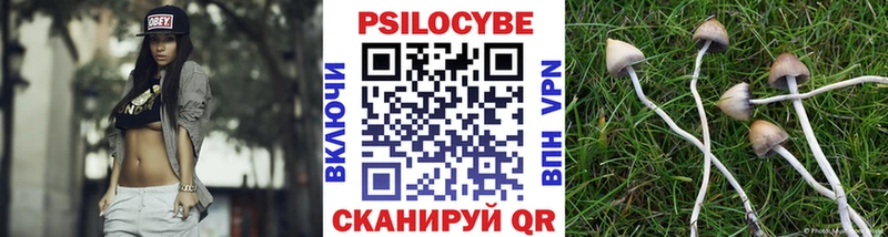 mega   Саратов  Галлюциногенные грибы Psilocybe  как найти закладки 